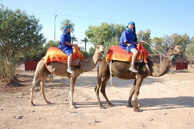 Sunset Camel Ride In Marrakech Palm Grove - Stunning Desert Sunset Ride