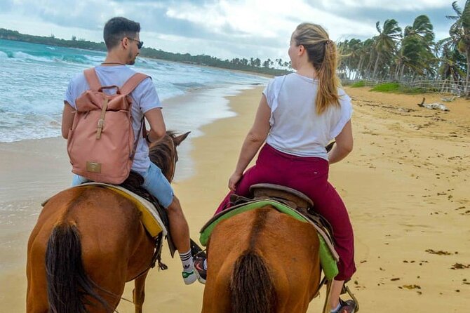 Sunset Horseback Riding Tour From Punta Cana - Reviews and Ratings