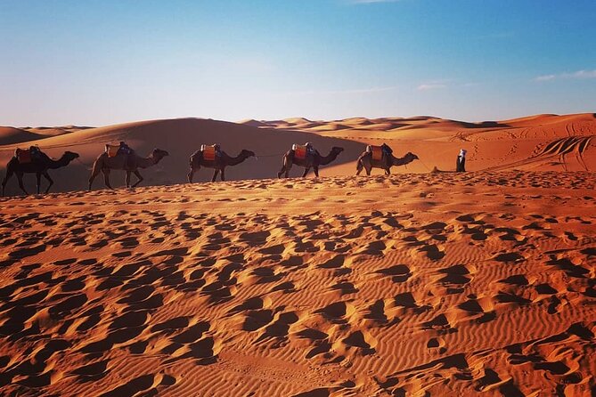 Sunset in Merzouga Sahara Desert & Camel Ride Erg Chebbi Dunes - Camel Trek Experience