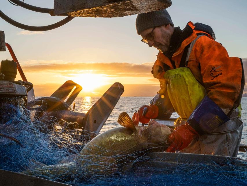 Svolvär: Fishing Trip on the Lofoten Sea - Learning the Basics of Fishing