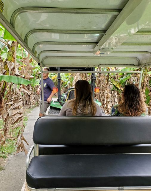 Taste of the Tropics - Orchid Farms Behind-the-Scenes