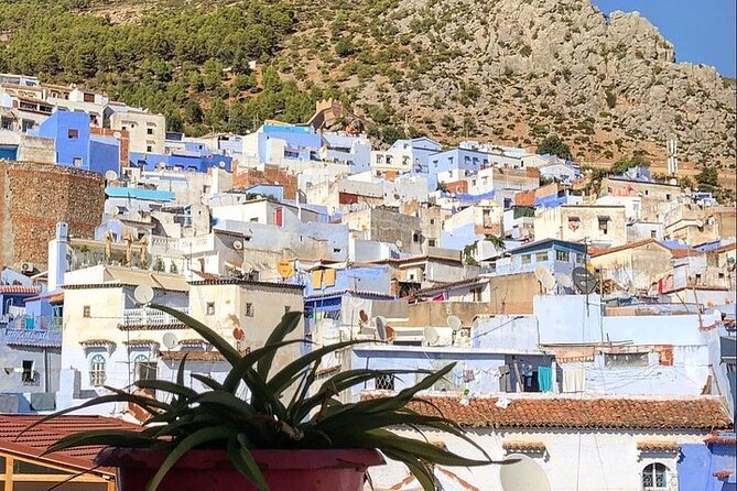 Tetouan & Chefchaouen Blue City Private Day Trip From Tangier - Private Tour Experience