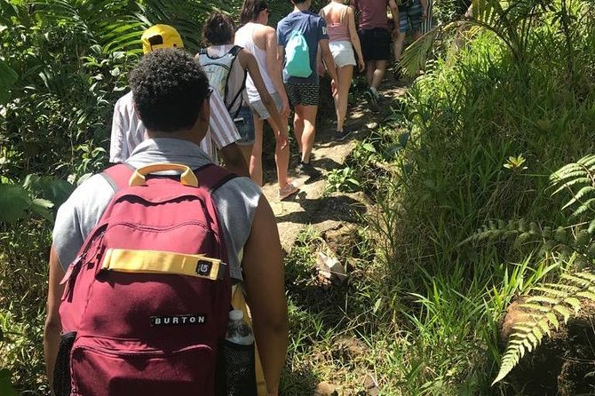 The El Yunque Rainforest Guided Day Tour From San Juan - Opportunity for Swimming