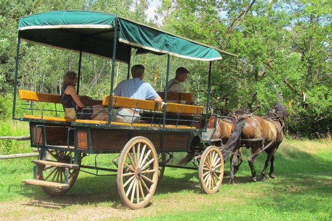 The Ultimate Anne of Green Gables Private Tour - Accessibility and Fitness Level