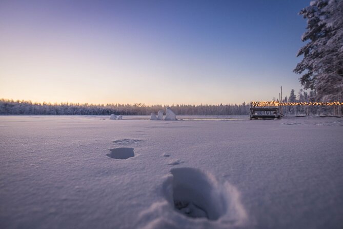 The Ultimate Lappish Adventure, Full Day Tour, Meals Included - Dining Experiences