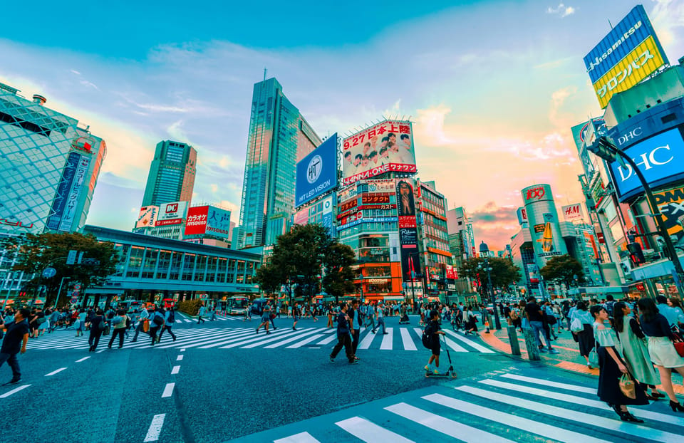 Tokyo: Full-day Immersive Private Tour by Premium Car - Tsukiji Fish Market