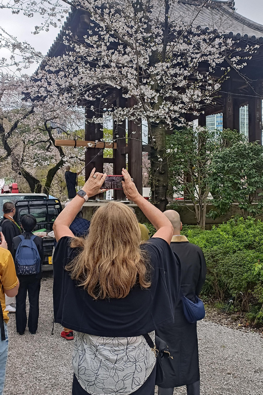 Tokyo: Highlights Walking Tour Review - Frequently Asked Questions