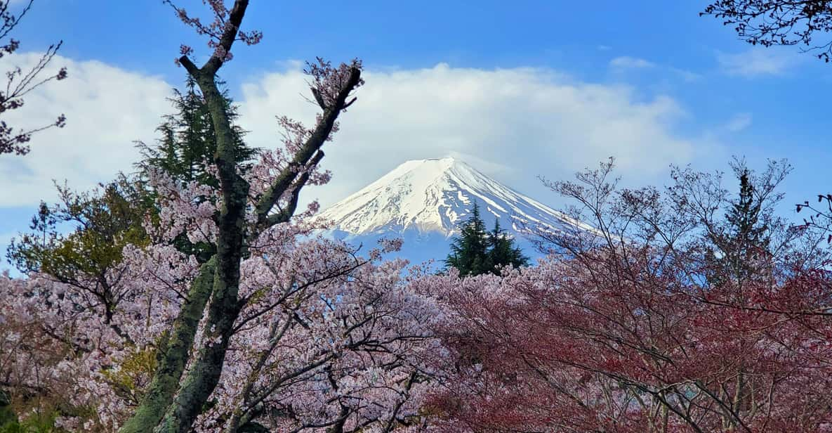 Tokyo, Mount Fuji and Hakone 3 Days Tour - Day 2 (Mount Fuji)