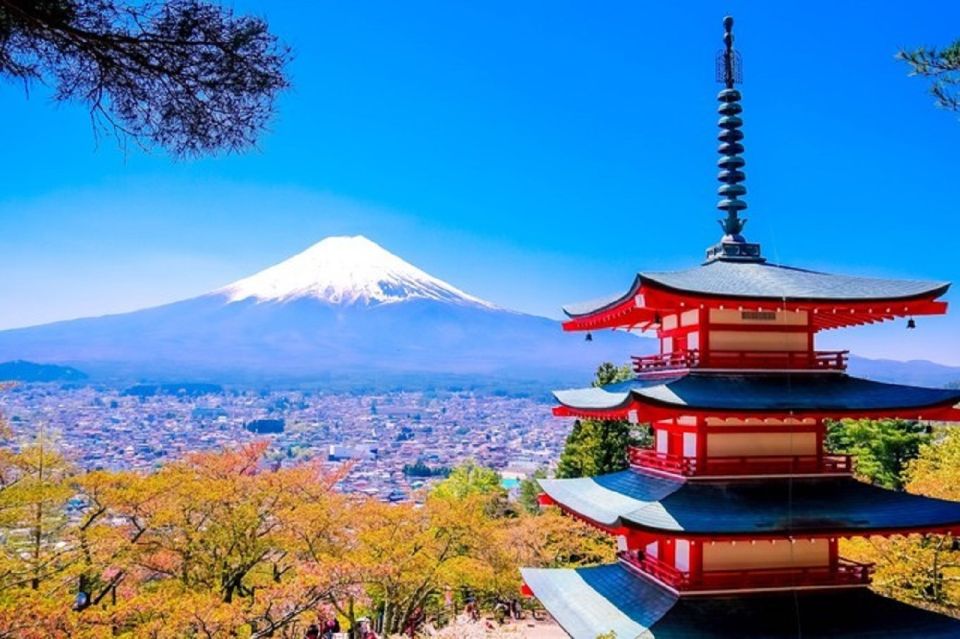 Tokyo: Mt.Fuji Area, Oshino Hakkai & Kawaguchi Lake Day Trip - Important Information