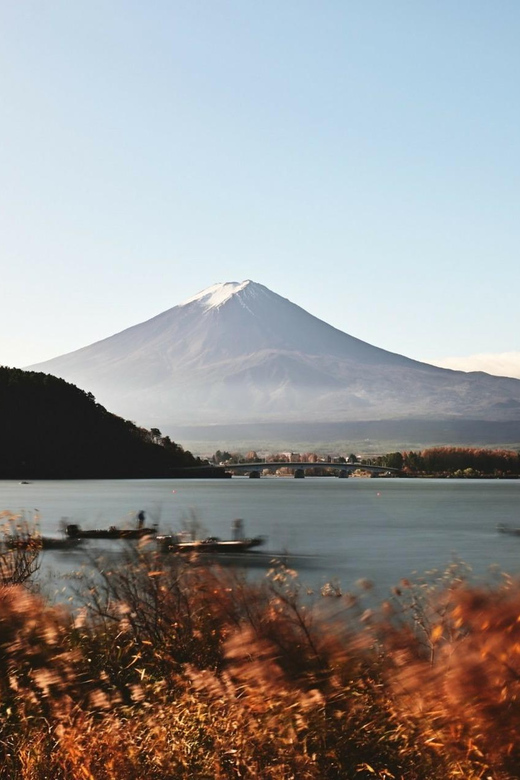 Tokyo: Mt. Fuji Private Day Tour With Return Transportation - Vehicle Capacity