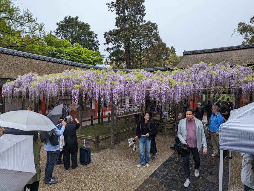 Tokyo: Personalized Half-day Tour - Personalized Features