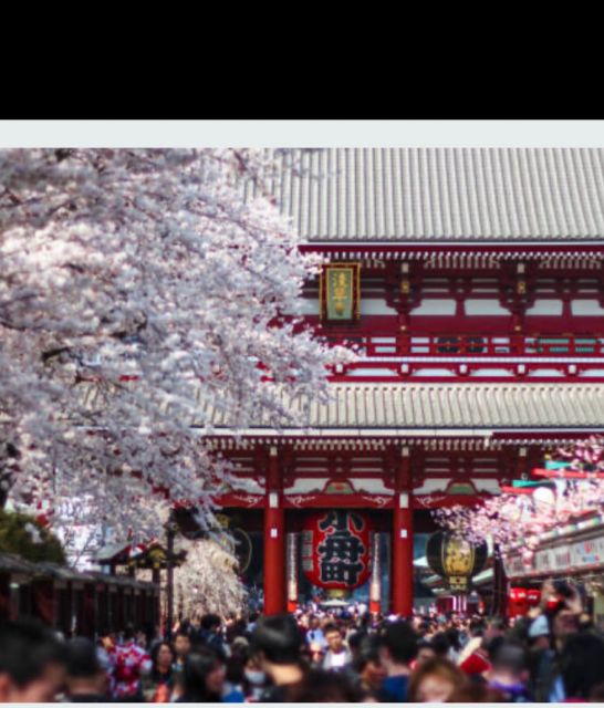 Tokyo Private Tour: Customizable (Up-To 6 Persons) - Experience and Comfort