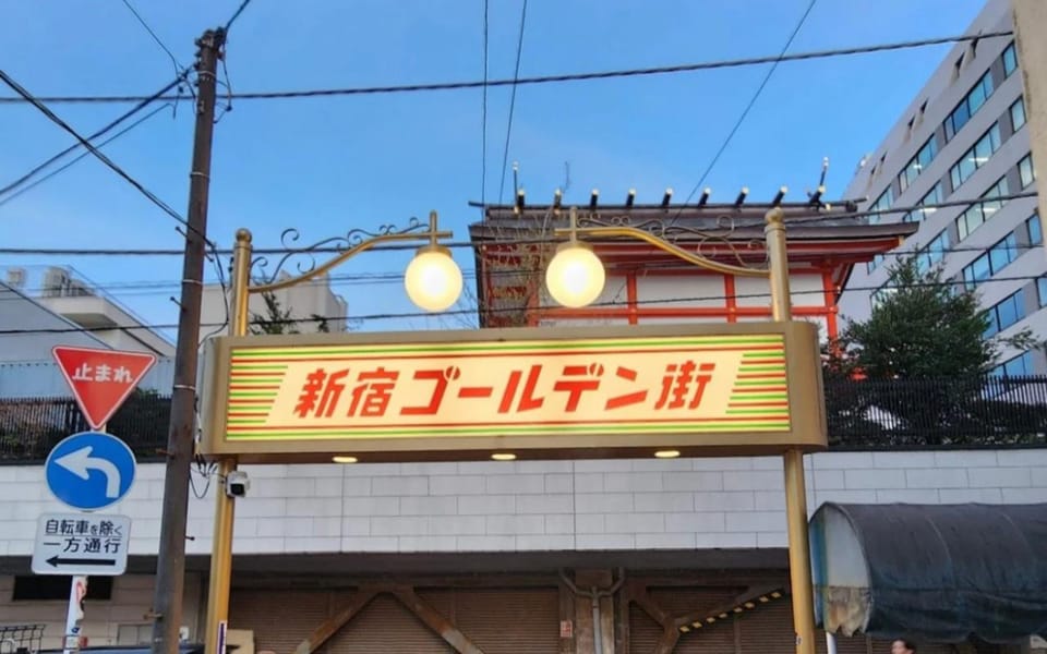 Tokyo: Shinjuku District Guided Half-day Tour at Night - Bar Street Visit