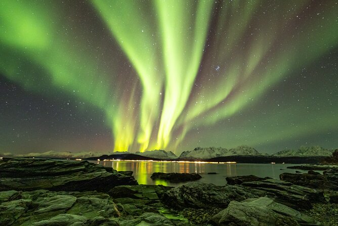 Tour in Search of the Northern Lights in Tromso - Group Size and Accessibility