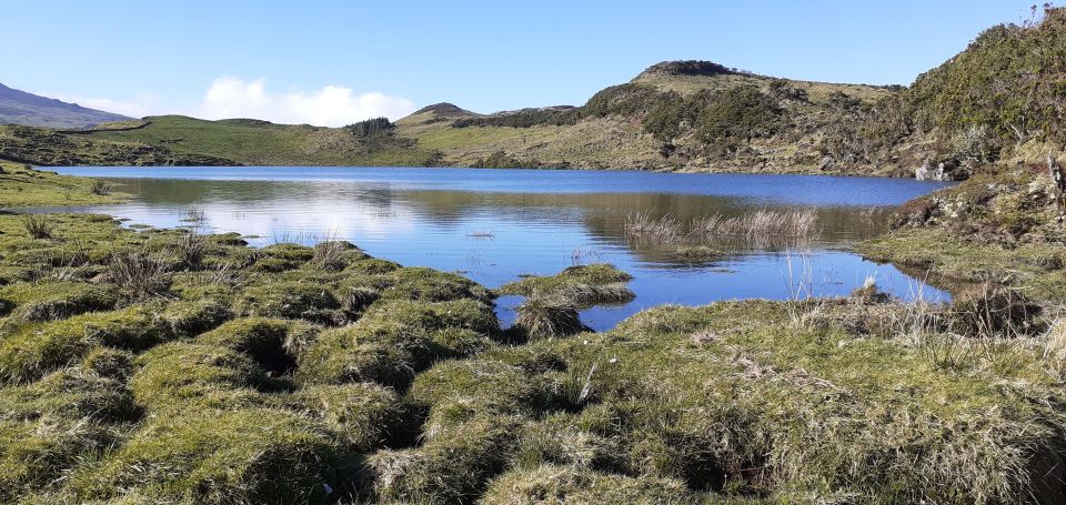 Tours on Pico Island - Cultural and Natural Landscape - Flexible Booking Options