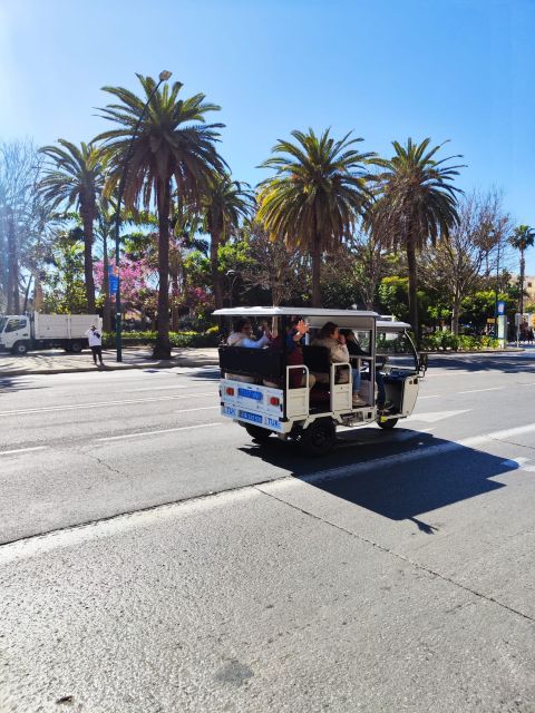 Valencia: City Highlights Guided Tuk-Tuk Tour - Unique Tour Features