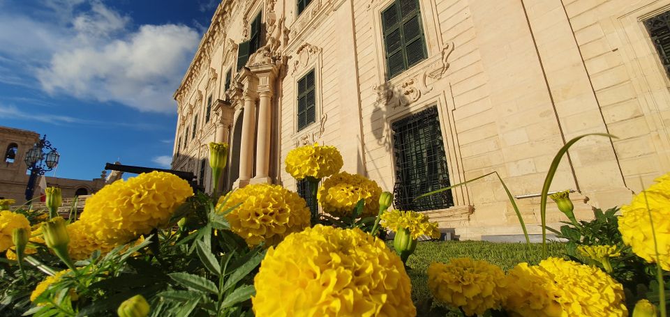 Valletta: Food Walking Tour With Tastings - Meeting Point and Logistics