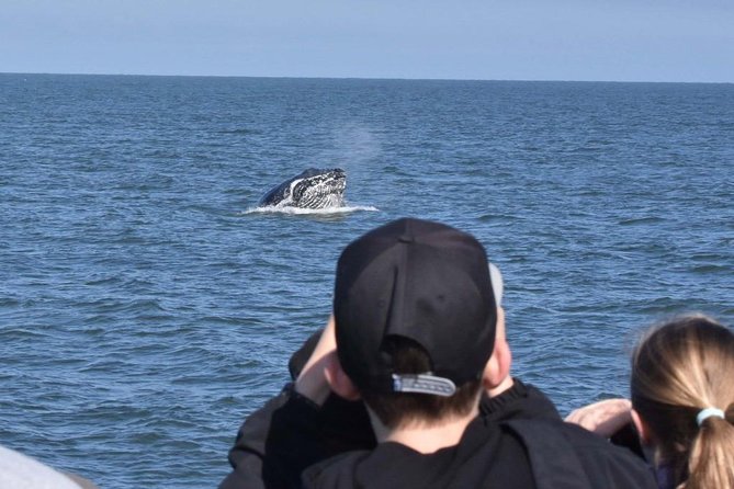 Vancouver Whale Watching Safari - Pickup and Drop-off