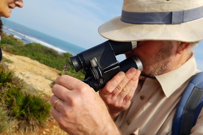 Vendicari - Sicilys Best Coast Nature Reserve ( Birdwatching & Archeology ) - Exploring Vendicaris Coastline