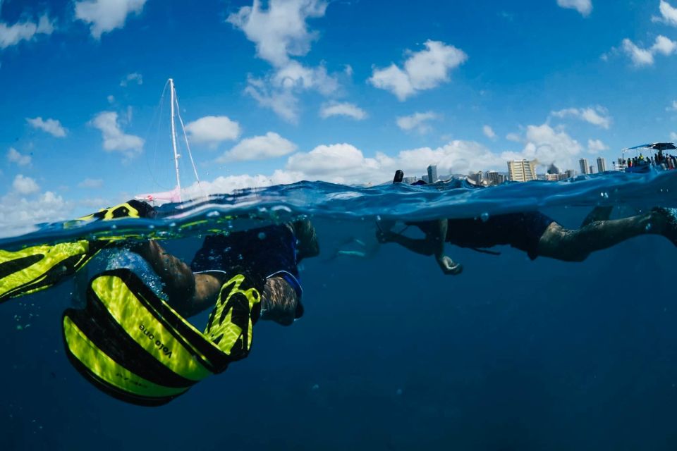 Waikiki: Snorkel Tour With Hawaiian Green Sea Turtles - Language Offerings