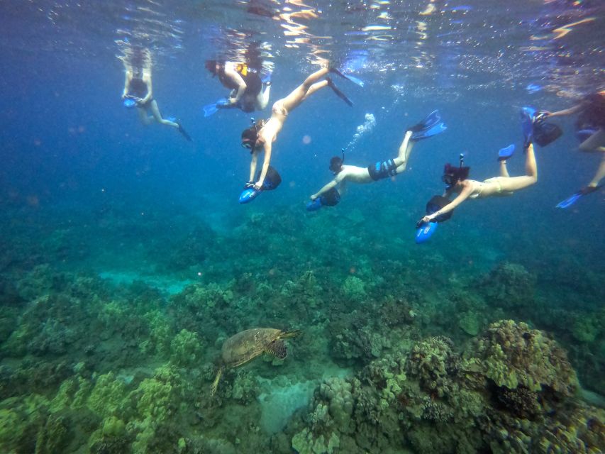 Wailea Beach: Guided Sea Scooter Snorkeling Tour - Logistical Details