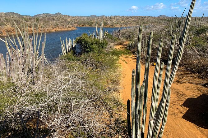 Washington Park Tour With Local Guide on Bonaire - Tour Group Size and Park Terrain