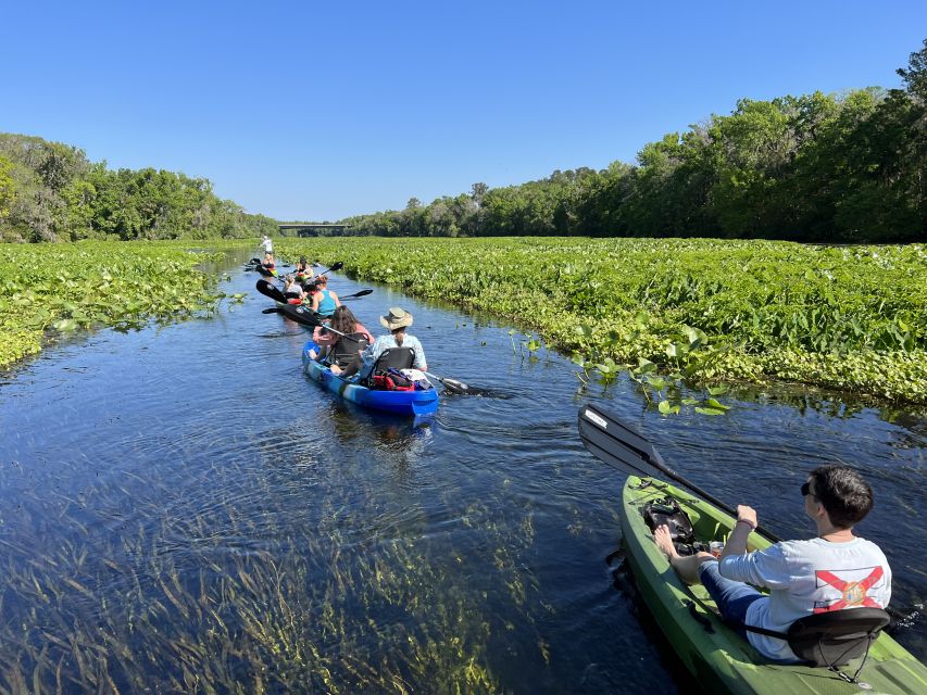 Wekiva Wildlife Kayaking Adventure Tour - Group Size and Kayak Capacity