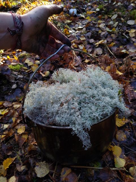 Wilderness Survival and Bushcraft Course in Stockholm - Trap Making