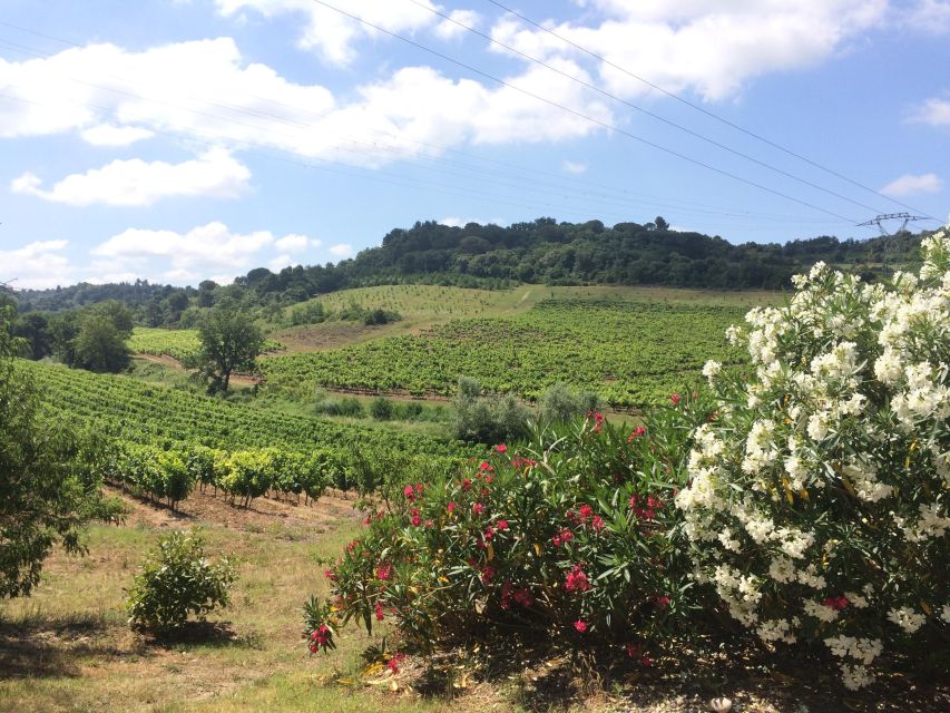 Wine Tour Cathar Country - Taste Excellent Wines