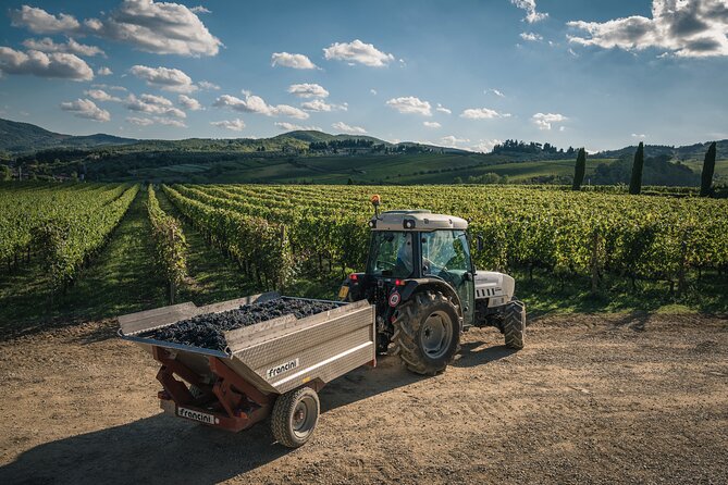 Wineries Tour and Wine Tastings in Chianti Hills From Florence - Round-trip Bus Transit