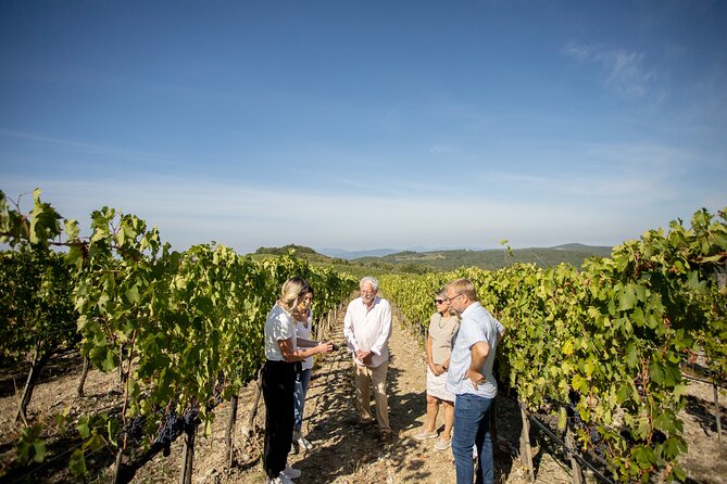 Winery Tour & Gourmet Tasting in Montalcino - Cancellation and Booking Policy