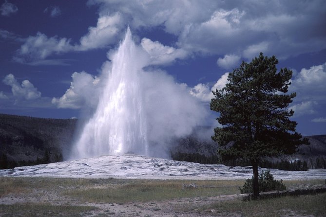 Yellowstone Lower Loop Full-Day Tour - Booking Information