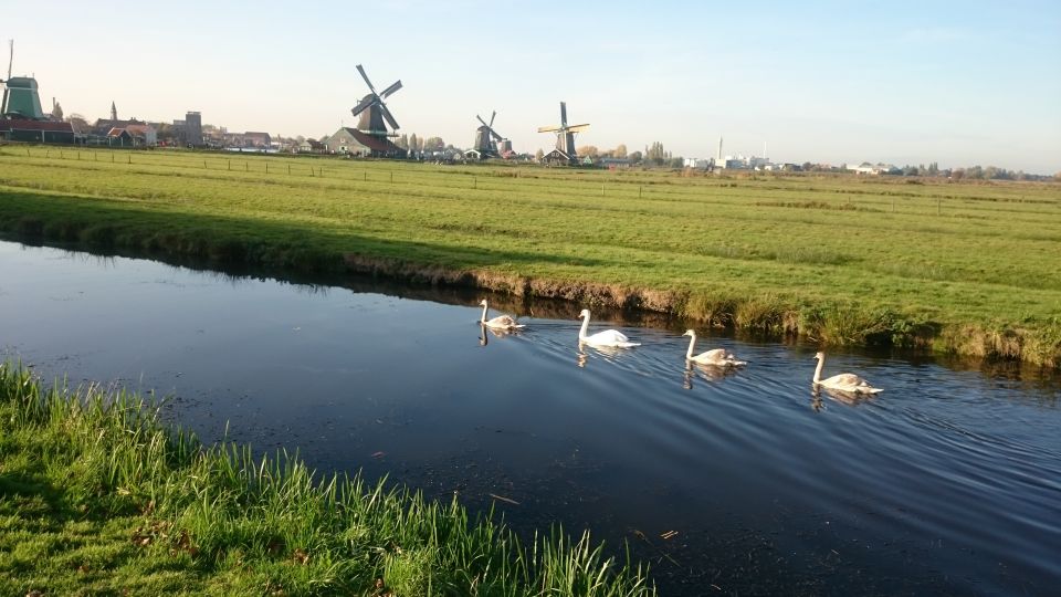 Zaanse Schans Windmills 4-Hour Tour in Italian - Inclusions