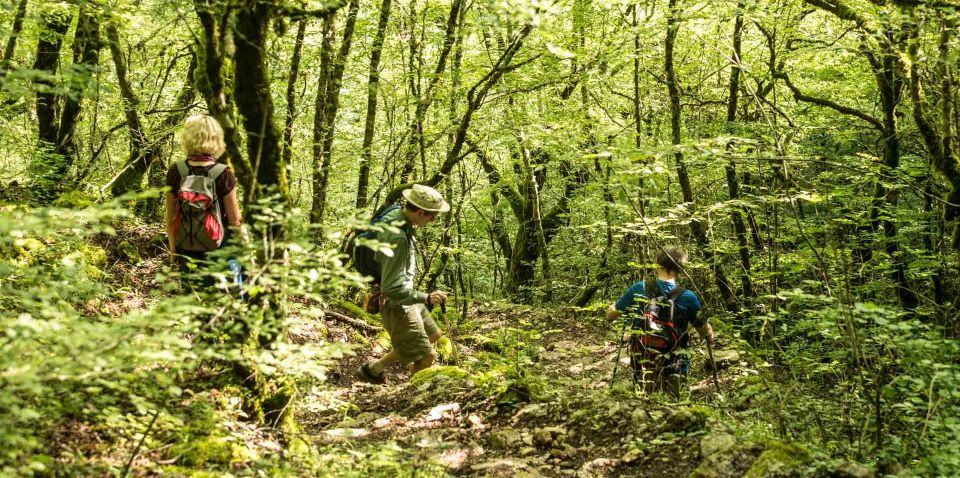 Zagori: Vikos Gorge Full-Day Guided Hike - Participant Guidelines