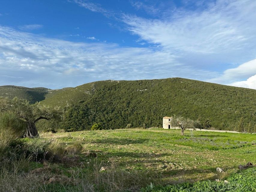 Zakynthos 4x4 Off-Road Experience With Lunch - Included Amenities