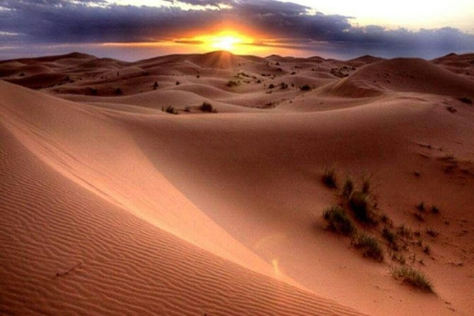 1-Hour Dunes Buggy Self-drive, Camel Riding, Sand Boarding In Red Desert Dunes - Dunes Buggy Self-drive