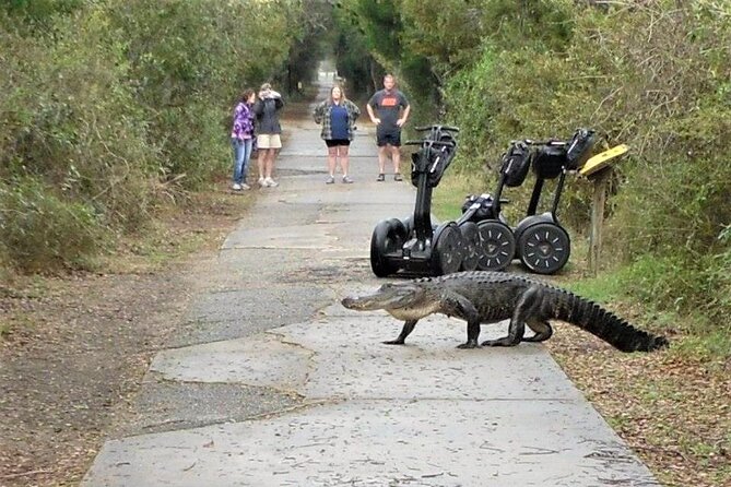 2-Hour Guided Segway Tour of Huntington Beach State Park in Myrtle Beach - Explore Wetland and Wildlife Preserve