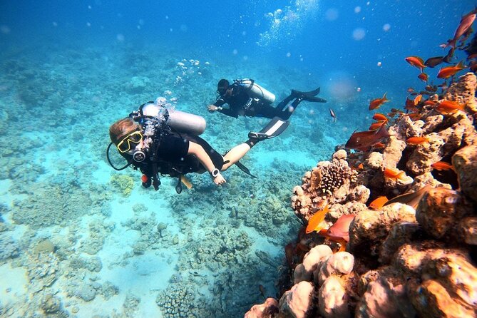 2-Hour Private Scuba Experience in Aqaba - Traveler Restrictions