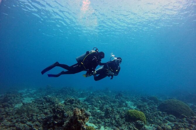 3-Day Open Water Scuba Diving Course in Aqaba - Pricing and Guarantee