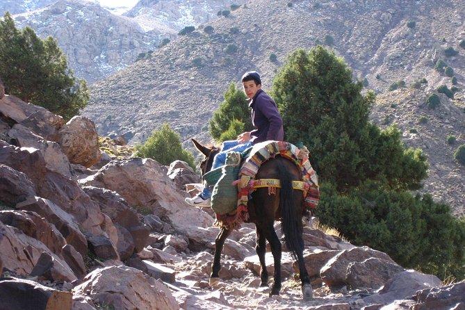 3 Days Berber Villages Hike (Atlas Mountains) - Marrakech Exploration