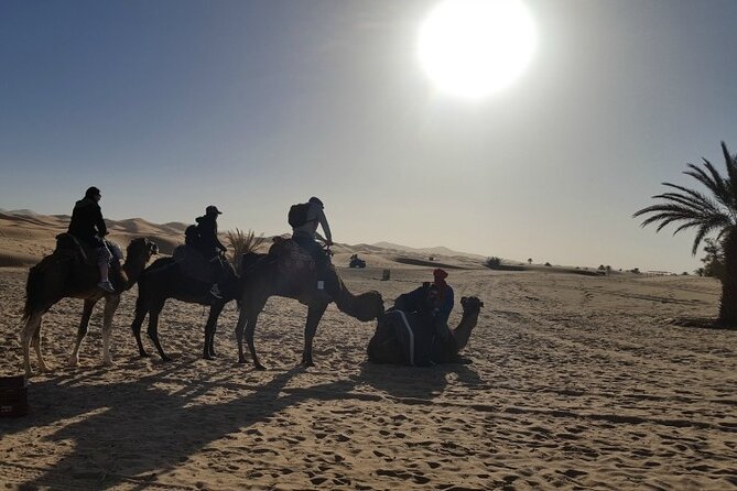 3 Days Private Desert Tour From Fez To Marrakech - Accessibility and Participation