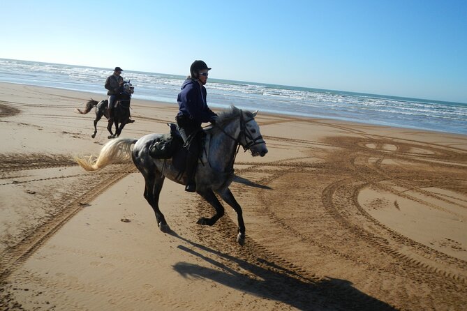 3 Hours Horse Riding in Essaouira, Beach, Forest and Dunes - Riding Equipment Provided