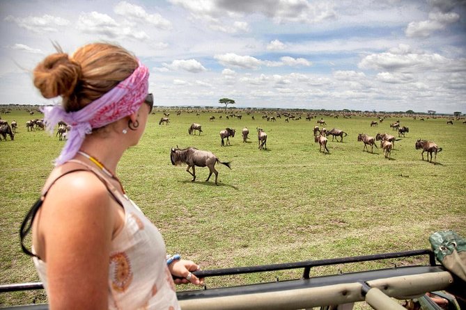 4 Days 3 Nights Tarangire Serengeti & Ngorongoro Lodge Safari - Fees, Taxes, and Meals Covered