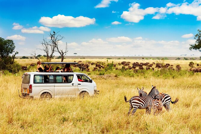 5 Days Masai Mara, Lake Nakuru & Naivasha Budget Joining Safari - Nairobi Pickup Locations