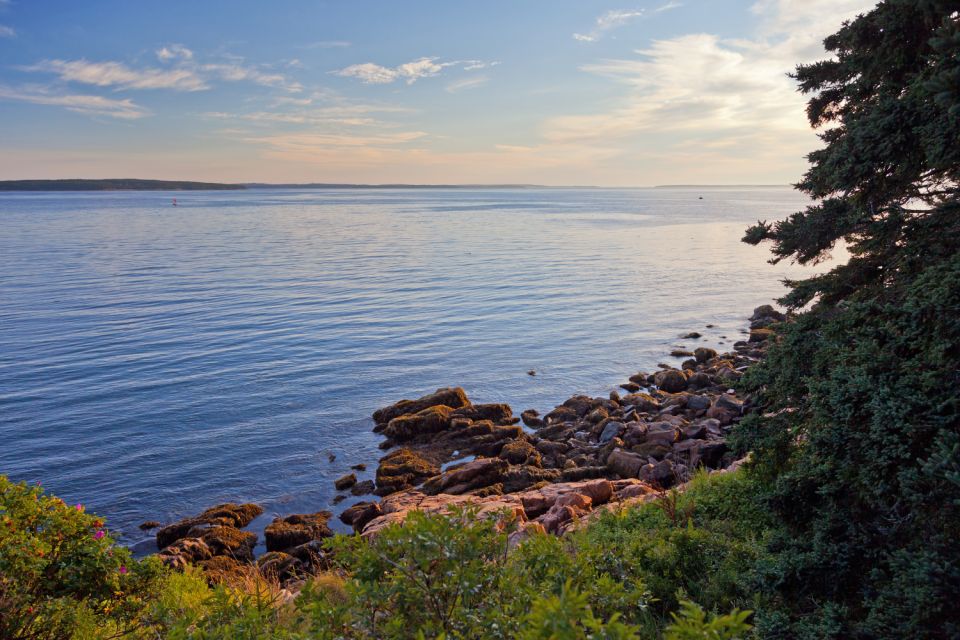 Acadia: Mount Desert Island Self-Guided Driving Tour - Offline Accessibility