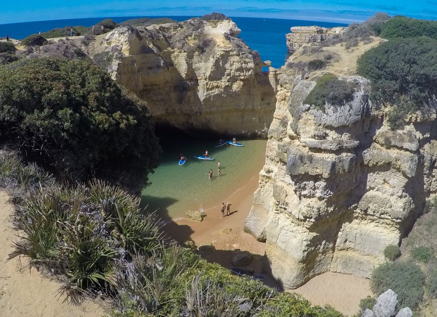 Albufeira: Praia Da Coelha Standup Paddleboard Tour - Customer Reviews and Experience