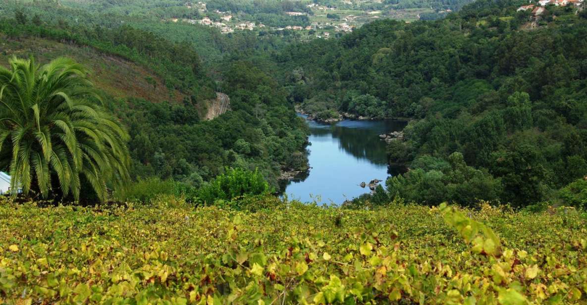 Alvarinho Wine Full Day Tour - Minho Rivers Breathtaking Landscape