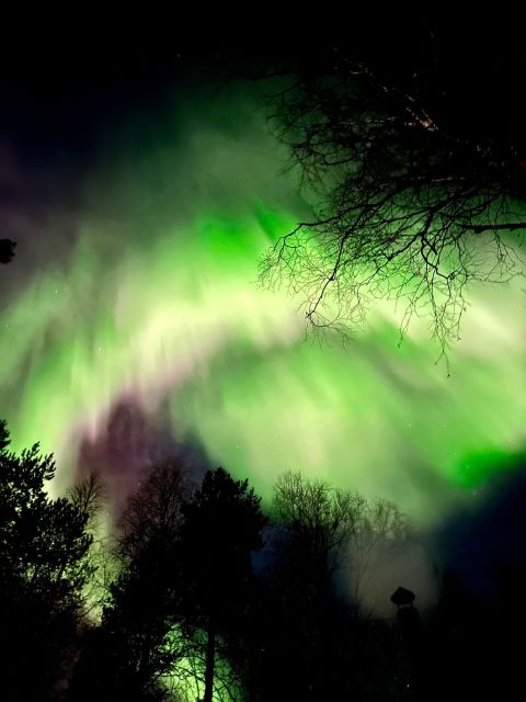 Amazing Aurora With BBQ in the Best Spot in Rovaniemi! - Cancellation Policy