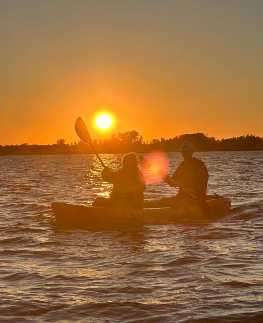 Anna Maria Island and Bradenton: Sunset Kayak Dolphin Tour - Customer Reviews and Ratings