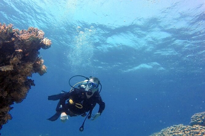 Aqaba Private Scuba Diving Activity With Pick up - Accessibility Options